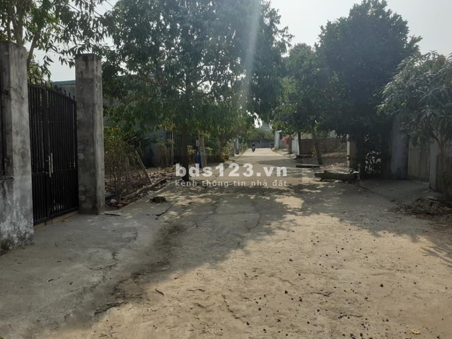Về quê cần bán gấp căn nhà cấp 4 diện tích sử dụng 100m2 khu dân cư đông, tiện ích đủ