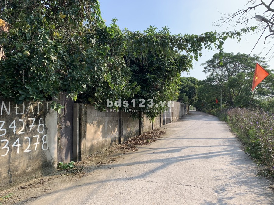 Bán 70m2 đất tặng nhà cấp 4 Phú Lương-Tân Minh-Thường Tín, MT 4,5m
