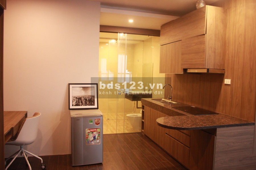 Cho thuê căn hộ chung cư Star City 23 Lê Văn Lương diện tích sử dụng 50m² 1PN