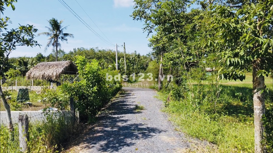 Đất mặt tiền 534, Nhuận Đức, Củ Chi, diện tích sử dụng 500M2, sổ riêng công chứng ngay