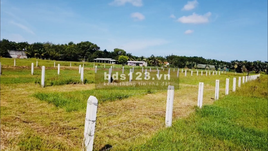 Đất mặt tiền 534, Nhuận Đức, Củ Chi, diện tích sử dụng 500M2, sổ riêng công chứng ngay