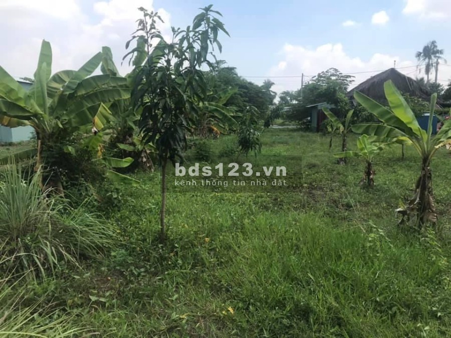Bán lô đất xây biệt thự vườn 1000m2 tại phường Long Phước Quận 9 liên hệ 0946788007