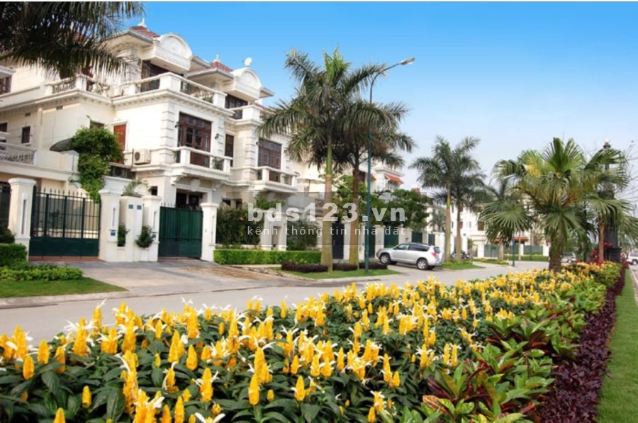 Bán căn biệt thự song lập diện tích 300m2, xây 3 tầng, khu C mặt đường đôi rộng 40m