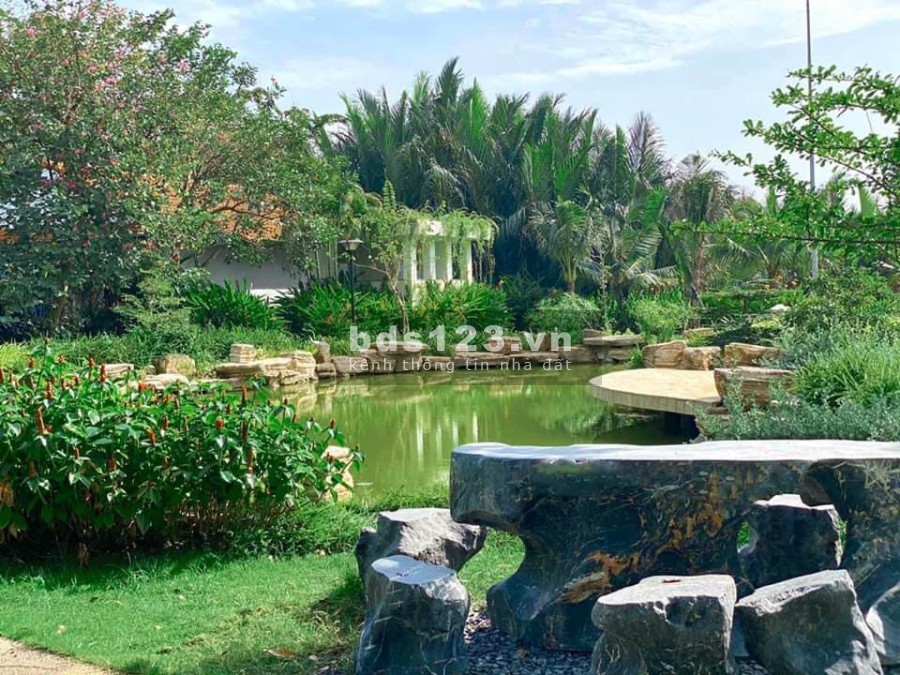 Cho thuê căn hộ góc 2PN ven sông quận 2, công viên 3,2ha, không gian sống trong lành[giá tốt]