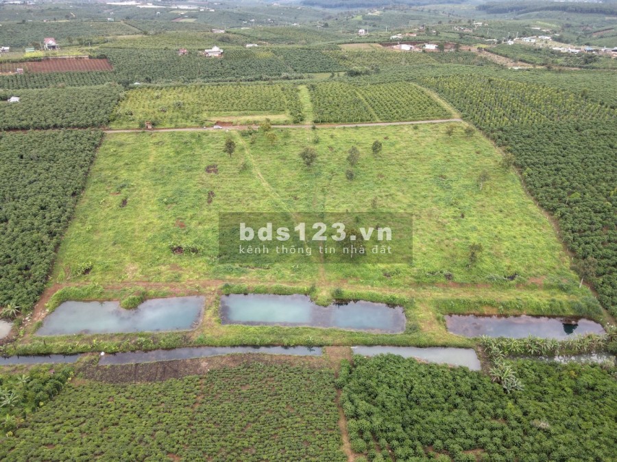 Cần bán đất chính sách ưu đãi, giá bán 400 triệu/nền diện tích 80m2, pháp lý đúng chuẩn