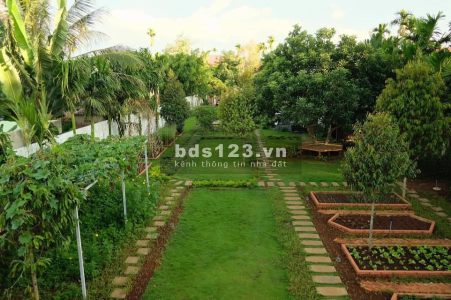 Đất chính chủ 650 triệu diện tích 100m2, full thổ cư sổ sẵn công chứng sang tên ngay
