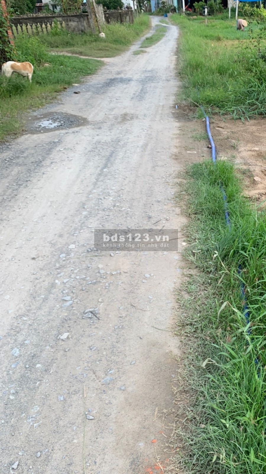 Chính chủ cần bán lô đất nền thổ cư diện tích sử dụng 191m2 (5x38,2m), sổ hồng riêng