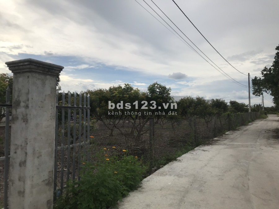 Bán đất vườn gia đình đang ở có sổ hồng riêng giá bán 3.425 triệu/m2, pháp lý chuẩn