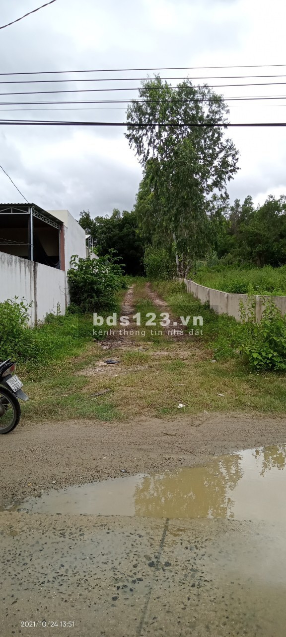 Bán đất mặt tiền đường Bình Hoà xã Phước Đồng, giá bán 4.5 tỷ, thương lượng, pháp lý chuẩn