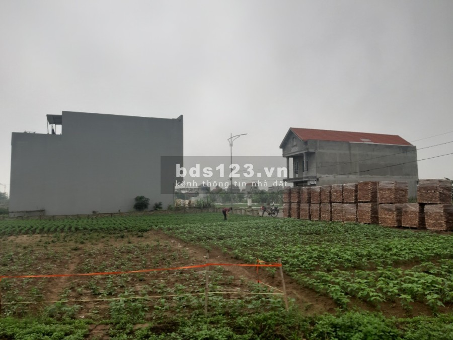 Bán đất chính chủ khu dân cư mới cầu phượng tường, Nhật Tân, Tiên Lữ, Hưng Yên