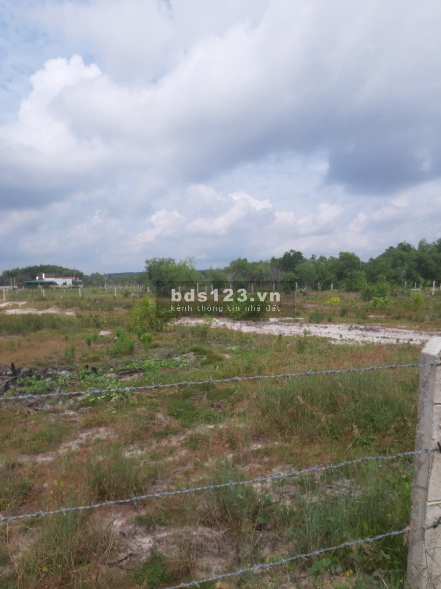 Chính Chủ Bán diện tích sử dụng 3000m2 đất gần biển giá bán 7.41 tỷ, bán giao sổ sẵn