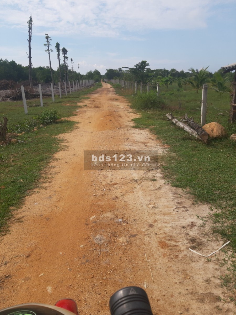 Chính Chủ Bán diện tích sử dụng 3000m2 đất gần biển giá bán 7.41 tỷ, bán giao sổ sẵn