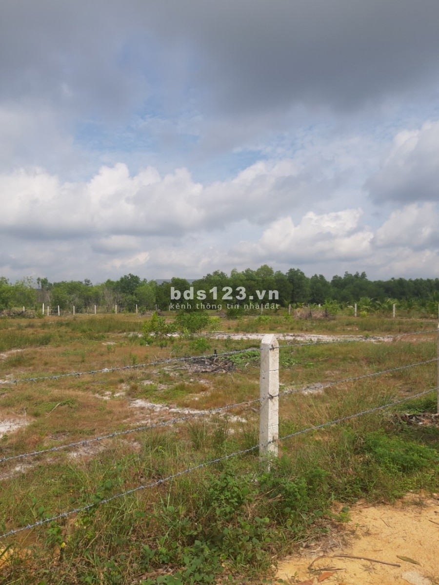 Chính Chủ Bán diện tích sử dụng 3000m2 đất gần biển giá bán 7.41 tỷ, bán giao sổ sẵn