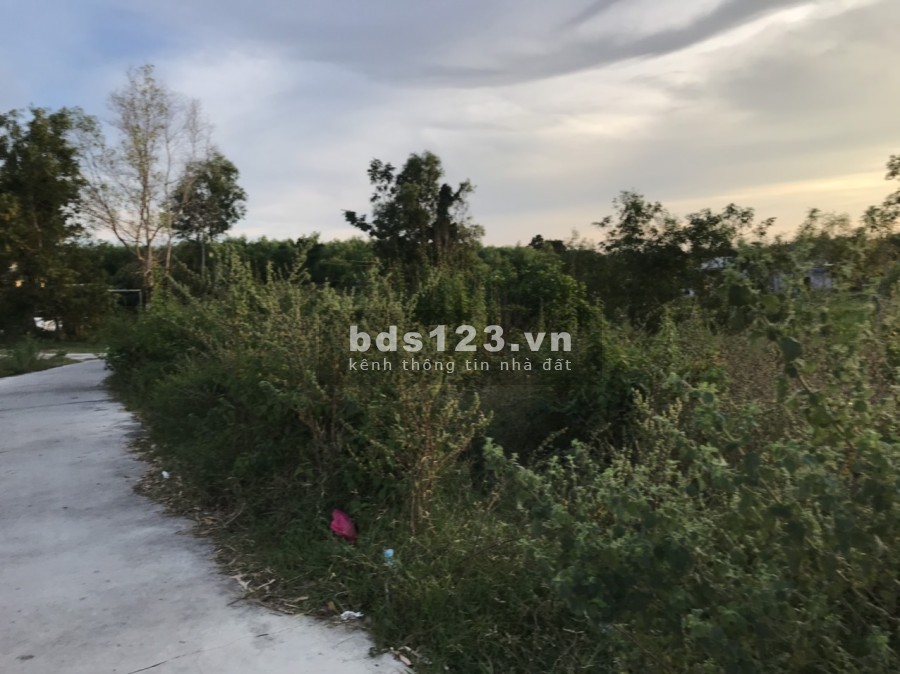 Bán 3016m2 đất phủ hồng gần biển Cam Bình, Tân Phước, Lagi giá tốt tiện đầu tư, tiện ích đủ