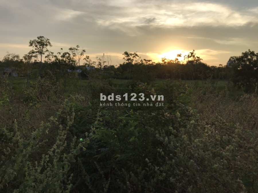 Bán 3016m2 đất phủ hồng gần biển Cam Bình, Tân Phước, Lagi giá tốt tiện đầu tư, tiện ích đủ
