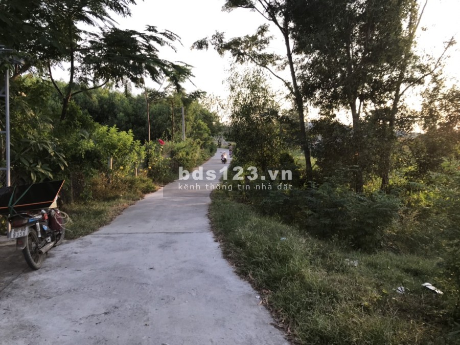 Bán 3016m2 đất phủ hồng gần biển Cam Bình, Tân Phước, Lagi giá tốt tiện đầu tư, tiện ích đủ