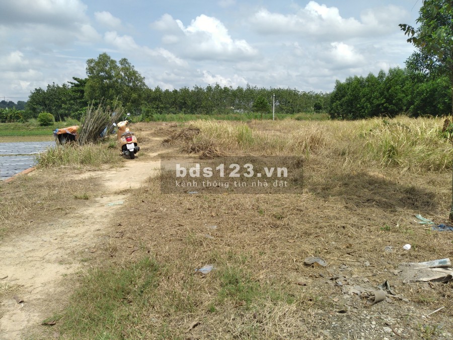 Cần cho thuê đất mặt bằng bằng phẳng, làm việc chín chủ, giá tốt, tiện kinh doanh, khu dân cư