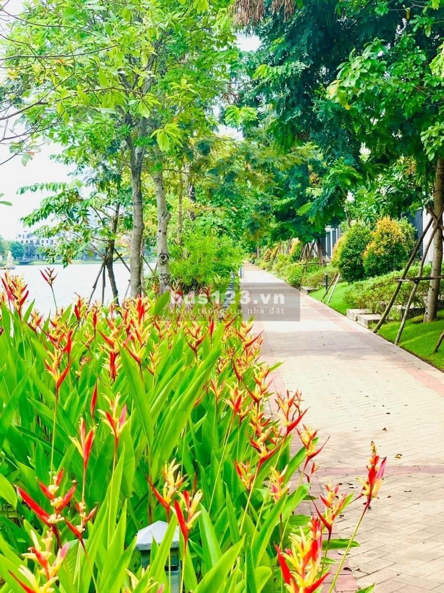 Cần ra hàng gấp biệt thự view hồ Lakeview Quận 2, diện tích 8x22 giá bán nhanh chỉ 32 tỷ