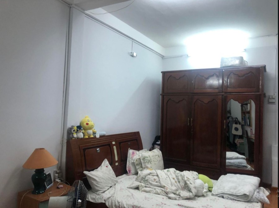 Mặt tiền Bùi Thị Xuân dtsd 53m2 3 tầng đúc Quận Tân Bình khu sầm uất kinh doanh đỉnh