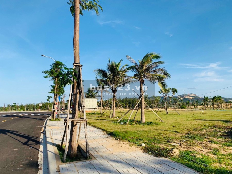 Đất nền ven biển Quy Nhơn giá chỉ từ 599 triệu đã có sổ đỏ hạ tầng hoàn thiện 95%