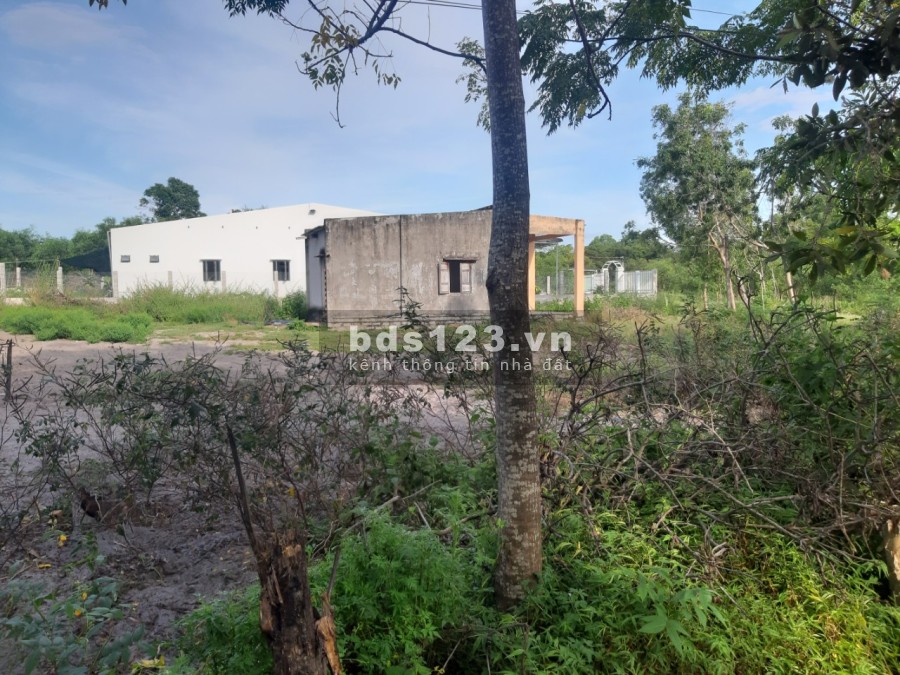 Đất Gần Biển 1774,7m2 (42x45) Hẻm Lê Minh Công, Tân Phước, LaGi, Bình Thuận.