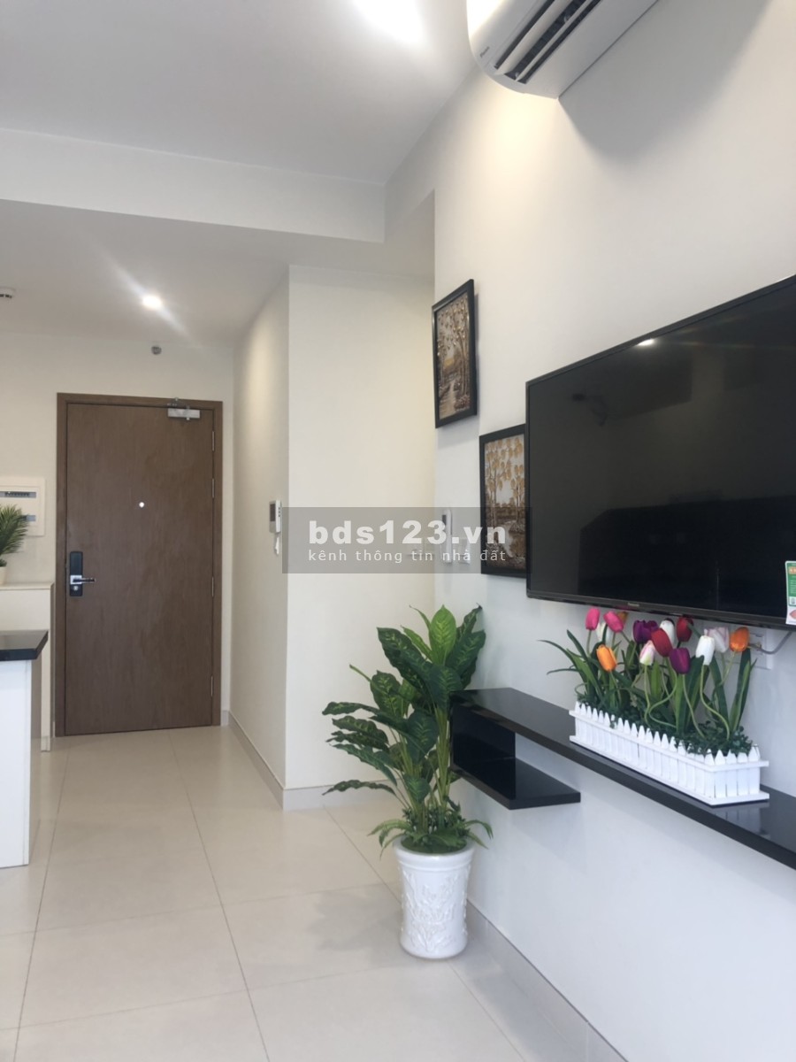 Cần cho thuê căn hộ chung cư Diamond Lotus Riverside, 49C Lê Quang Kim, Quận 8, TP. HCM