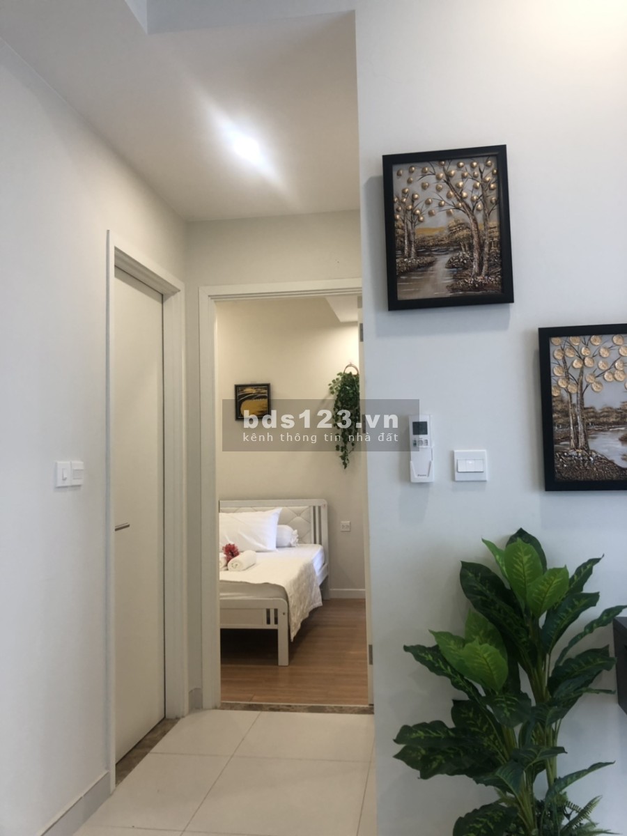 Cần cho thuê căn hộ chung cư Diamond Lotus Riverside, 49C Lê Quang Kim, Quận 8, TP. HCM