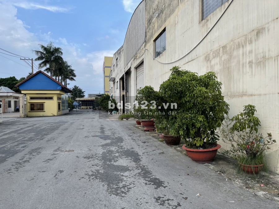 Cho thuê kho diện tích sử dụng 7000m2 Ao Đôi, Quận Bình Tân thành phố Hồ Chí Minh
