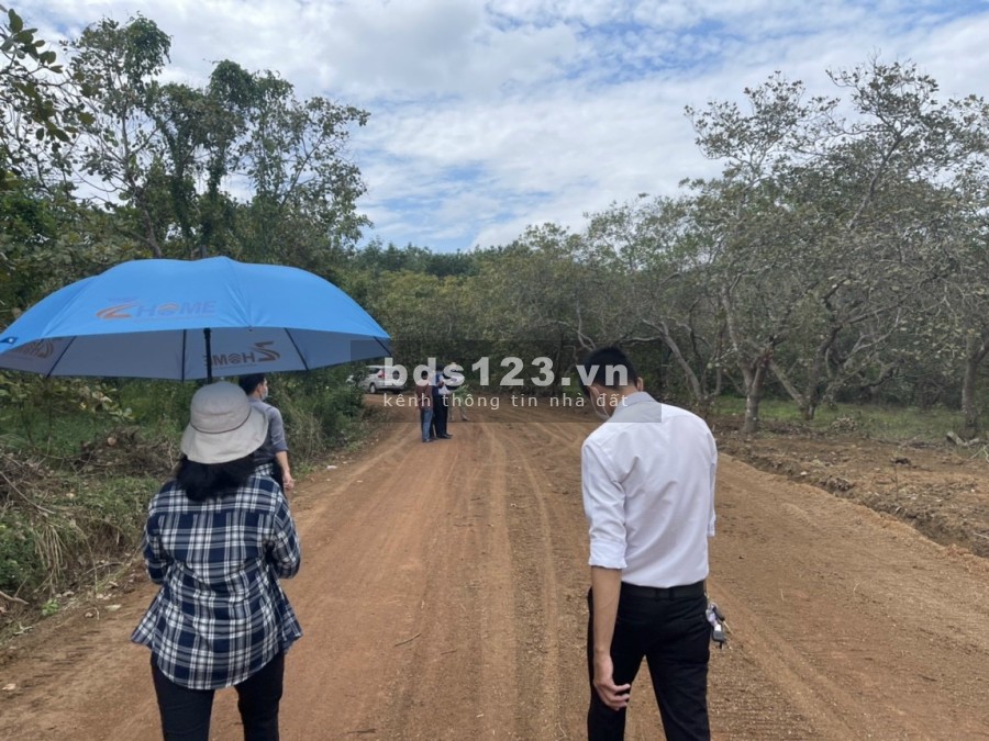 Xã lỗ 130m2 (100m thổ cư) sẵn sổ ở khu công nghiệp Tân Hưng…