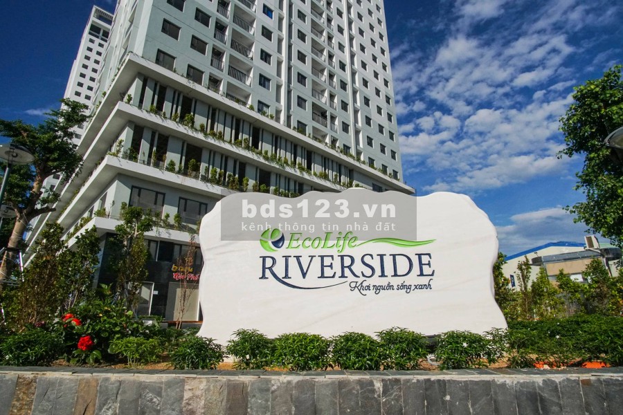 Căn hộ Ecolife Riverside, căn hộ sở hữu lâu dài. hỗ trợ trả góp đến 25 năm giá thoả thuận