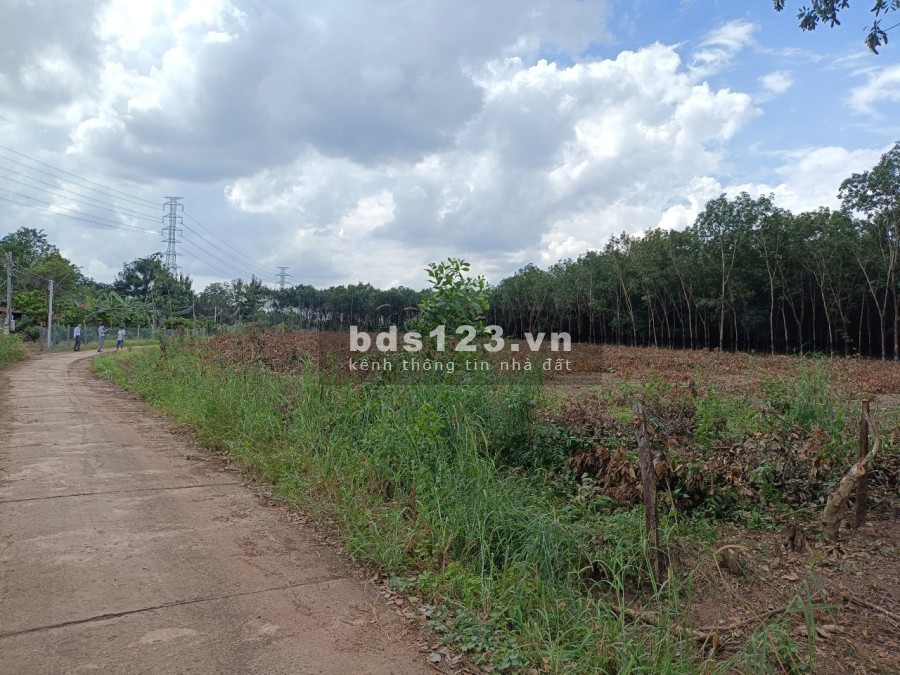 Dự án đất nền nở hậu giá rẻ vị trí cực đẹp tại Lộc Thịnh Lộc Ninh liên hệ xem đất 0908822009