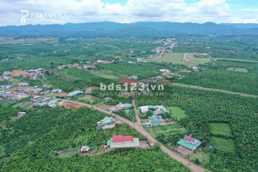 Đất nền sổ đỏ có sẵn trung tâm khu dân cư giá chỉ từ 5tr5/m2 view công viên tiện ích đầy đủ