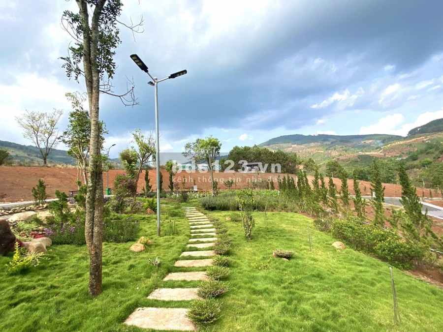 Lý do Nam Ban Villas đáng quan tâm nhất năm 2021. Tặng vàng 9999, cam kết thuê lại, CK ngay 4%