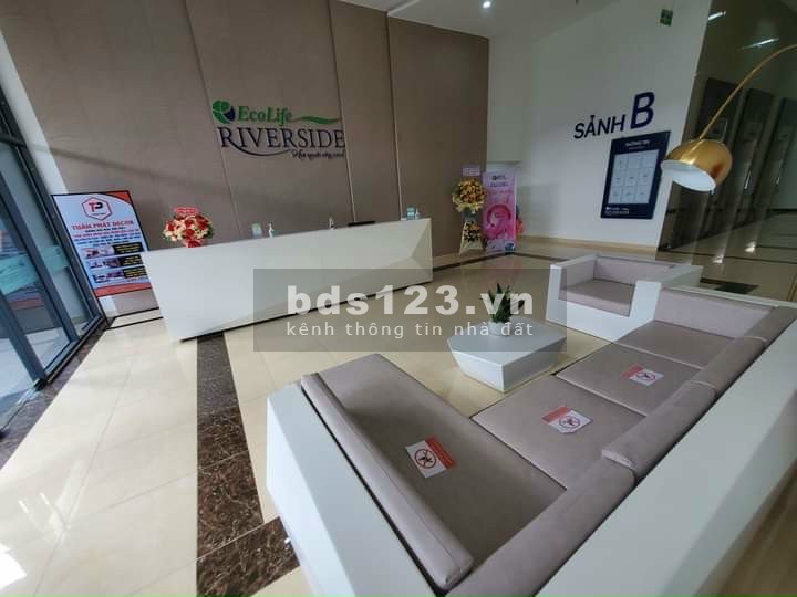 Căn hộ Ecolife Riverside, căn hộ sở hữu lâu dài. hỗ trợ trả góp đến 25 năm giá thoả thuận