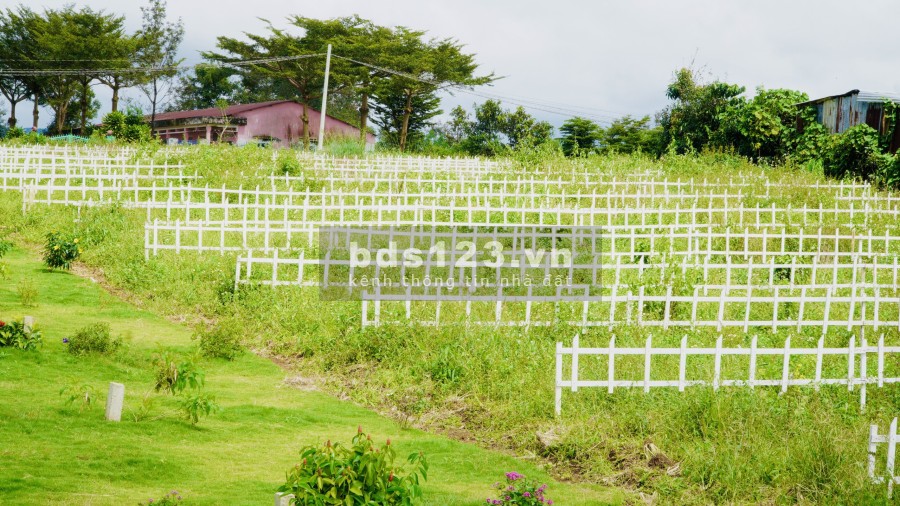 Đất nền view Cối Xay Gió Hà Lan, full thổ cư, mặt tiền Nguyễn Văn Cừ, sổ hồng riêng, giá tốt