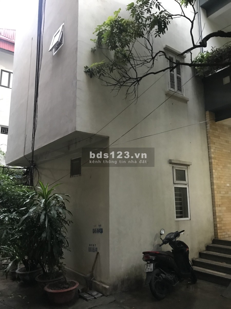 Cho thuê nhà nguyên căn chính chủ giá tốt ở Hoàng Hoa Thám còn mới, khu dân cư đông