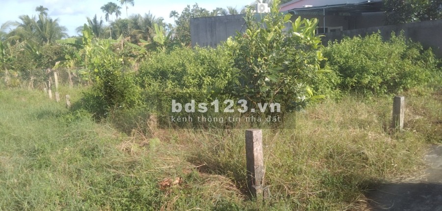 Đất full thổ Lộ Vàm, Song Bình, Chợ Gạo, Tiền Giang, diện tích sử dụng 190m2 giá 970 triệu