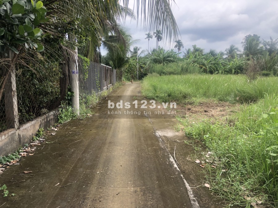 Đất full thổ Lộ Vàm, Song Bình, Chợ Gạo, Tiền Giang, diện tích sử dụng 190m2 giá 970 triệu
