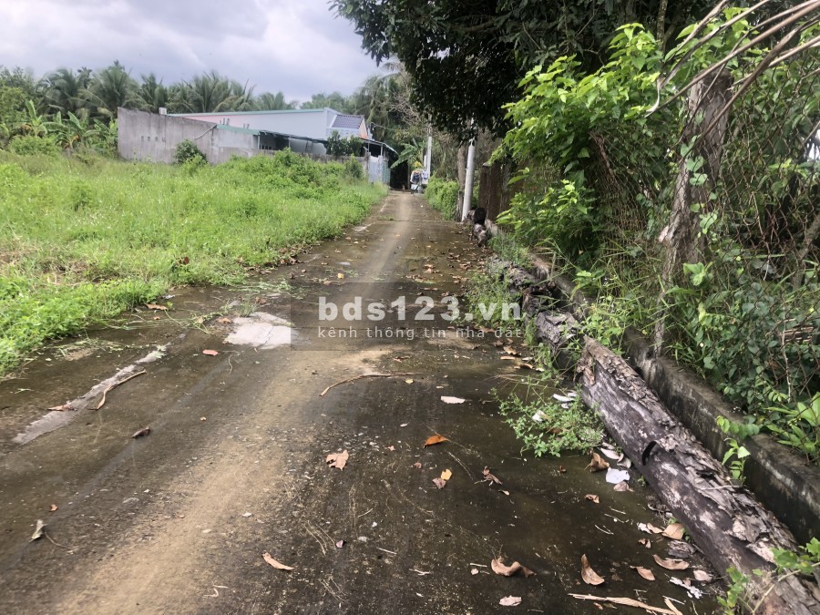 Đất full thổ Lộ Vàm, Song Bình, Chợ Gạo, Tiền Giang, diện tích sử dụng 190m2 giá 970 triệu
