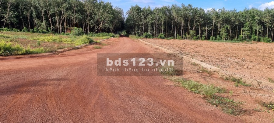 Bán đất Trung tâm hành chính Tân Hưng liền kề Becamex Đồng Phú, giá chỉ 689 triệu/nền