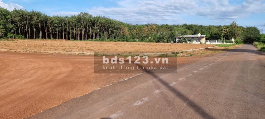 Bán đất Trung tâm hành chính Tân Hưng liền kề Becamex Đồng Phú, giá chỉ 689 triệu/nền