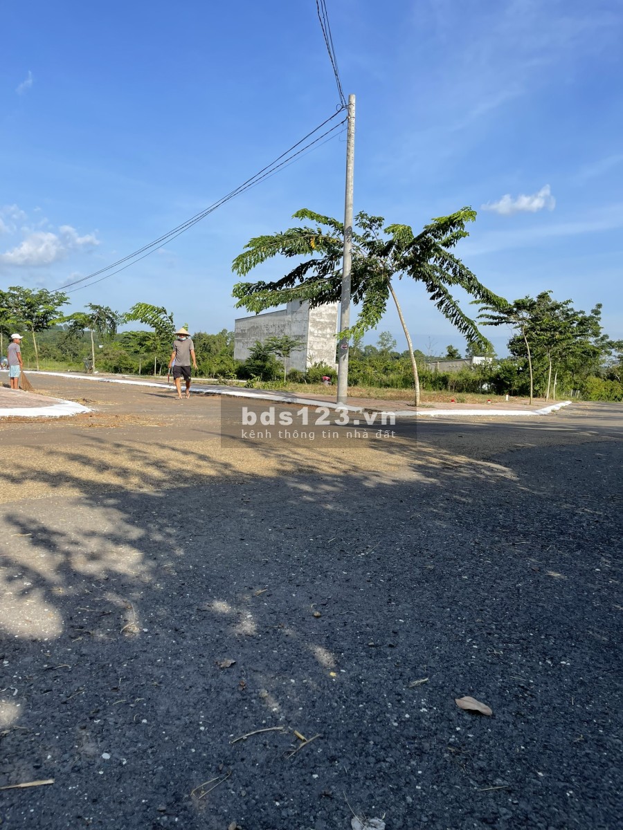 Đất Hắc Dịch giữa 2 khu công nghiệp lớn sổ hồng riêng giá chỉ từ 5 triệu/m2, giá tốt