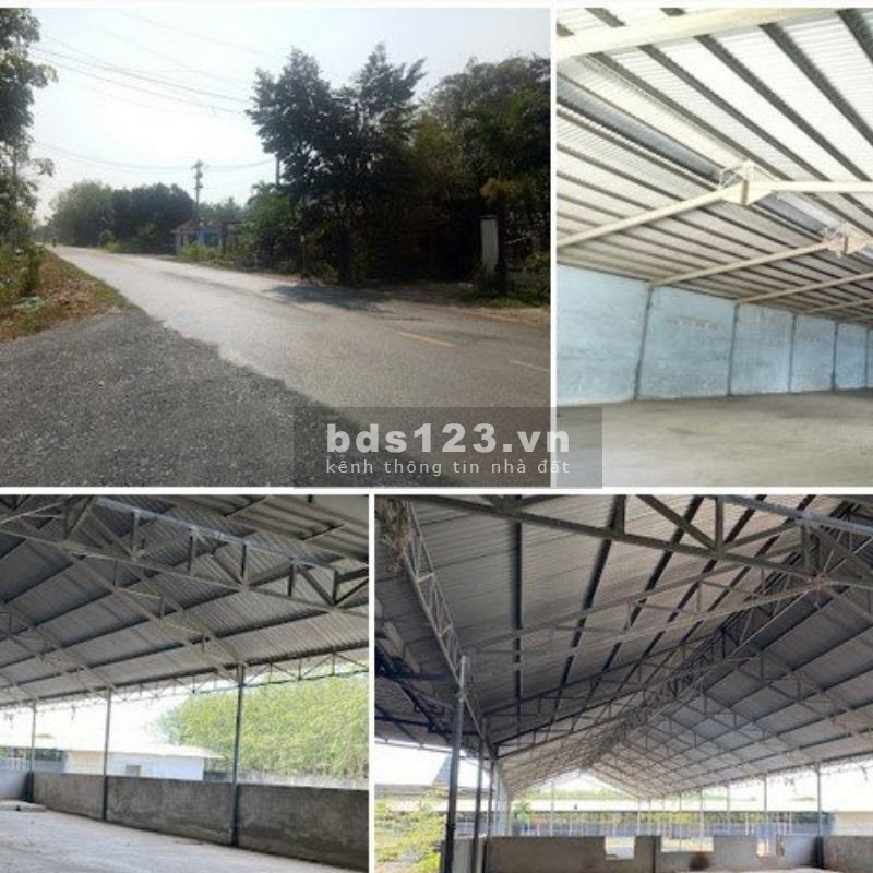 Cần Múa Bán Đất Xã Phú Mỹ Hưng Củ Chi Diên Tích 150000m Đường Nhựa Container