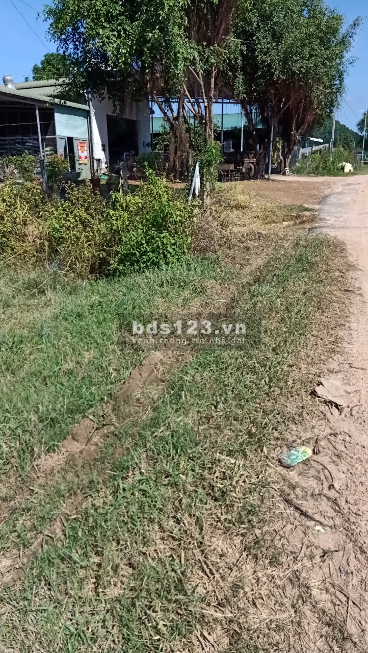 Bán Đất 16x47 Mặt Tiền Đường Nguyễn Minh Châu, xã Tân Tiến, Lagi, Bình Thuận, tiện ích đủ