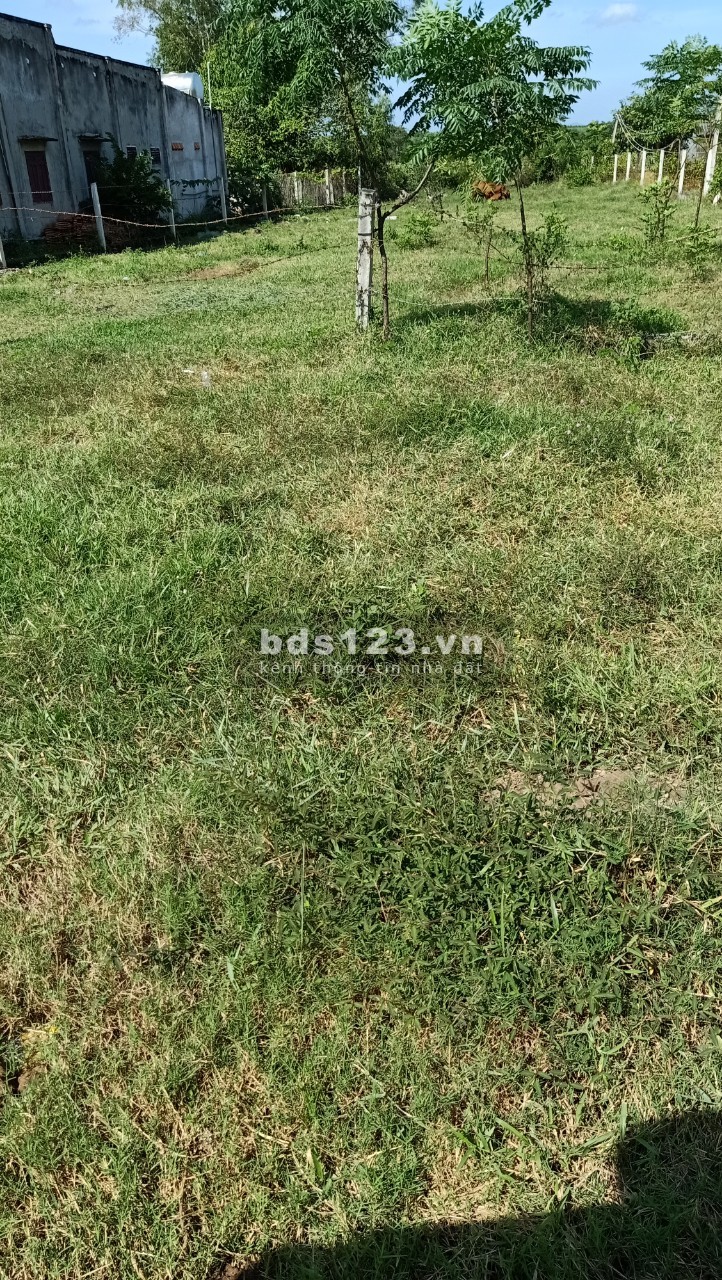 Bán Đất 16x47 Mặt Tiền Đường Nguyễn Minh Châu, xã Tân Tiến, Lagi, Bình Thuận, tiện ích đủ