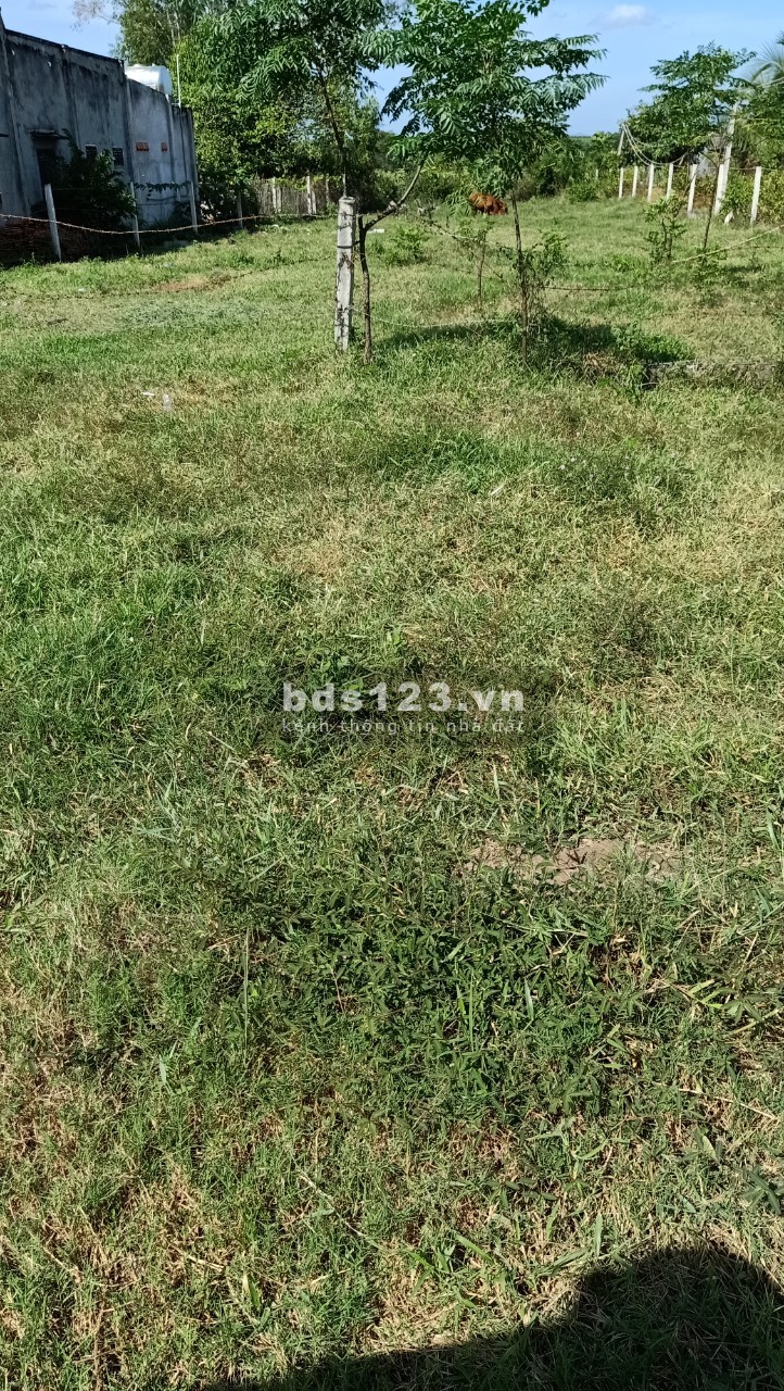 Bán Đất 16x47 Mặt Tiền Đường Nguyễn Minh Châu, xã Tân Tiến, Lagi, Bình Thuận, tiện ích đủ