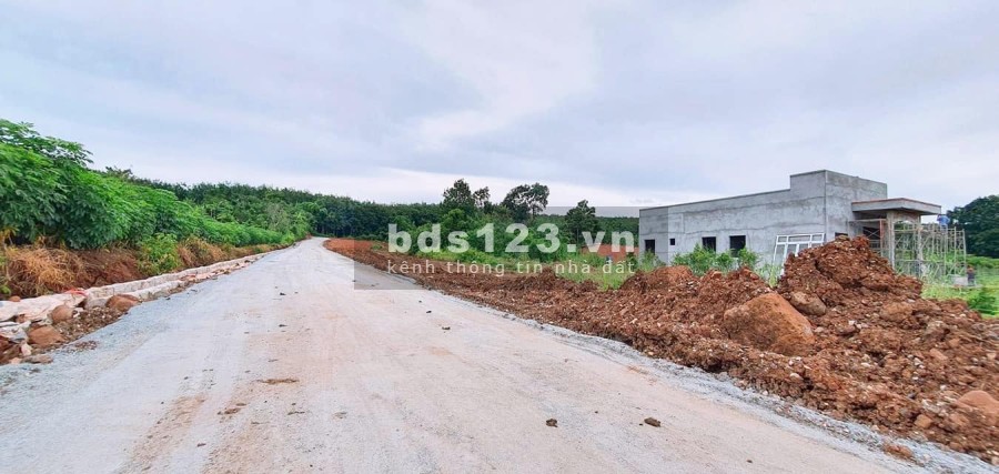Bán gấp lô đất diện tích 115m2, giá 650 triệu, thổ cư 100m2, sổ riêng, bao công chứng ngay