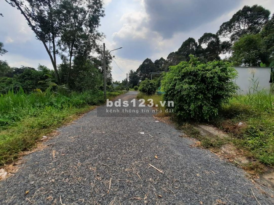 Đất nền gần khu công nghiệp Tân Hương chỉ từ 456 triệu/nền liên hệ 0365853239