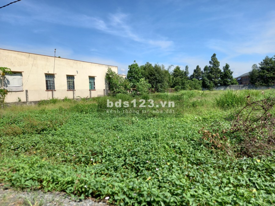 Bán 2366,8m2 đất lúa đường xe tải giá 3,1 tỷ bớt lộc liên hệ 0975642152, pháp lý đầy đủ