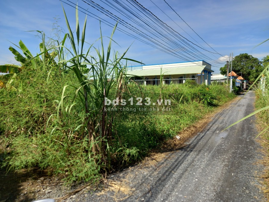 Bán 2366,8m2 đất lúa đường xe tải giá 3,1 tỷ bớt lộc liên hệ 0975642152, pháp lý đầy đủ